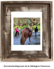 horseback riding near me in Millington, Tennessee